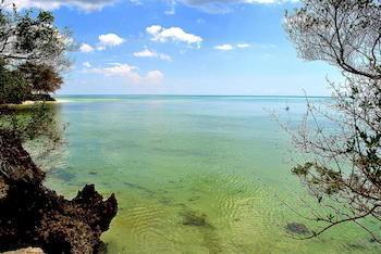 פונגווי Zanzibar Rock Resort מראה חיצוני תמונה